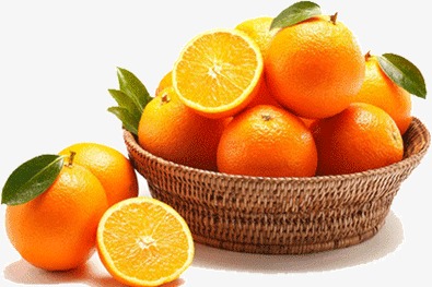 æçç®©çæ©åç´ æå¾çå
è´¹ä¸è½½ 髿¸
è£
饰徿¡png ååºç½ å¾çç¼å·1225412