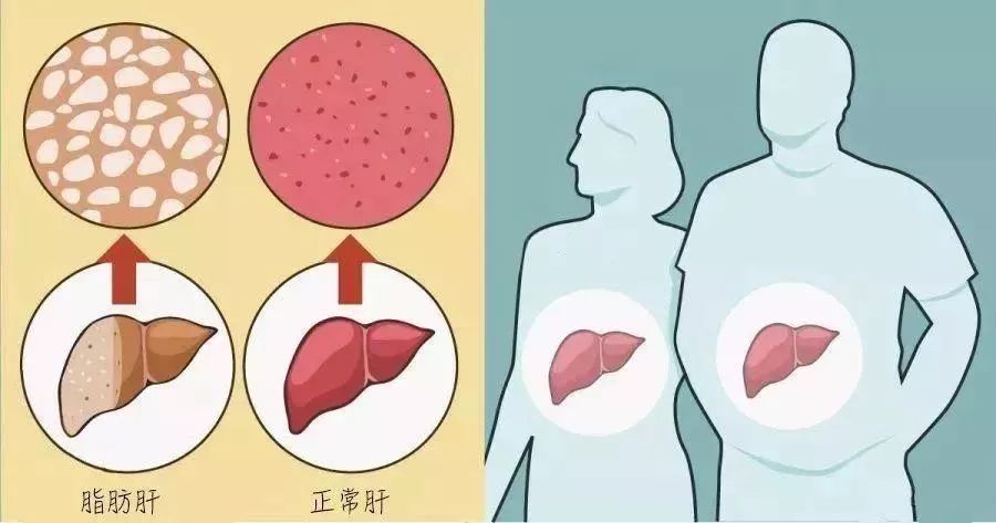èèªèæä¸ºæå½ ç¬¬ä¸èç