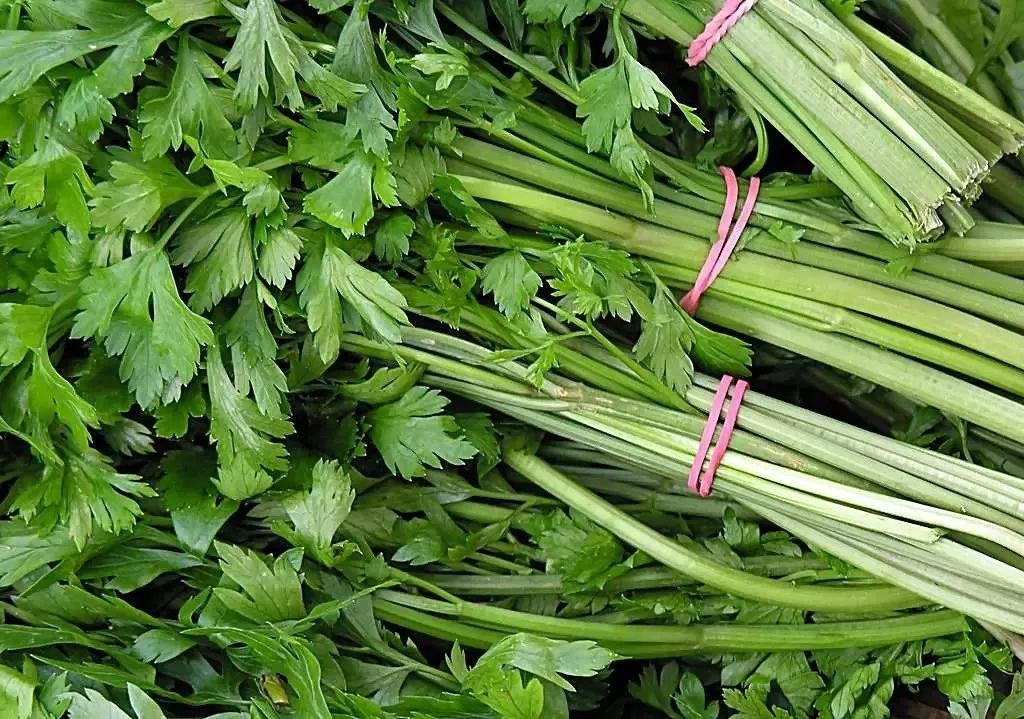 这些食物不适合放进冰箱,你知道吗